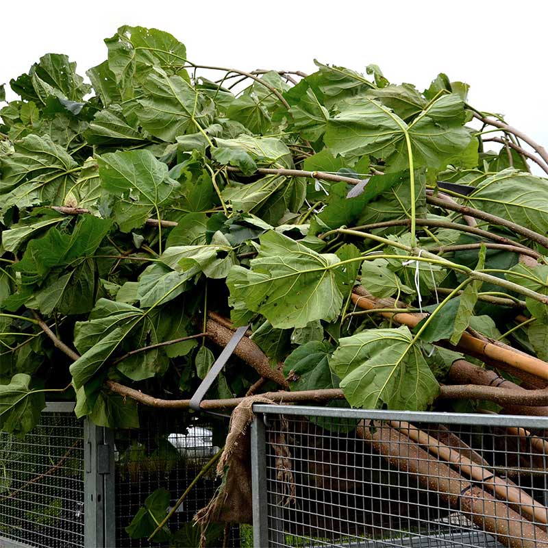 1'' X 15' Rubber Coated Handle Ratchet Strap with Vinyl Coated Wire Hooks