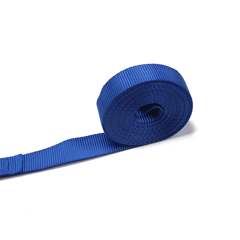 The 25MM Ratchet Tie Down European Type S Hook(Model BT-TDS-021)